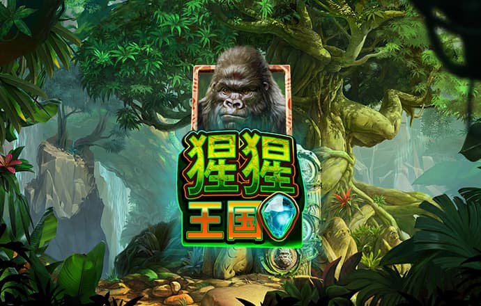 Bet365体育投注